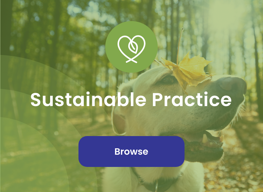 The Sustainable Practice