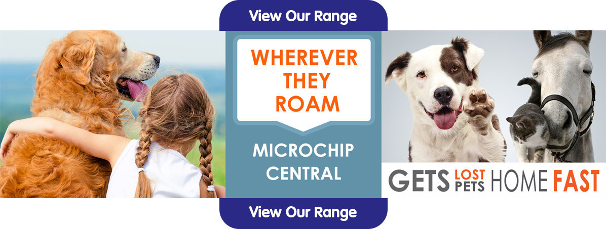 Microchips