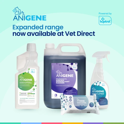 ANIGENE Professional Surface Disinfection at Vet Direct