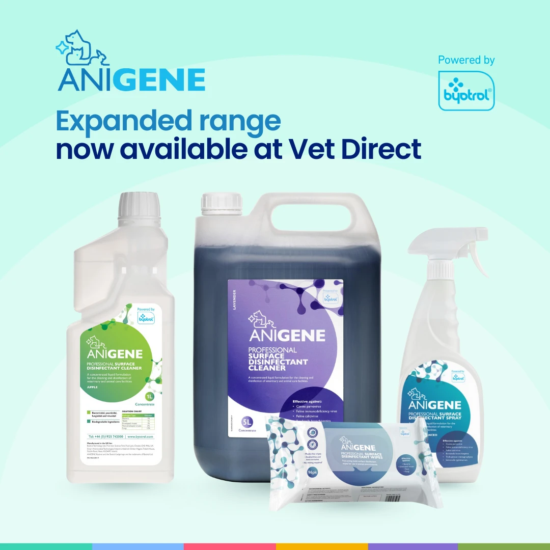 ANIGENE Professional Surface Disinfection at Vet Direct