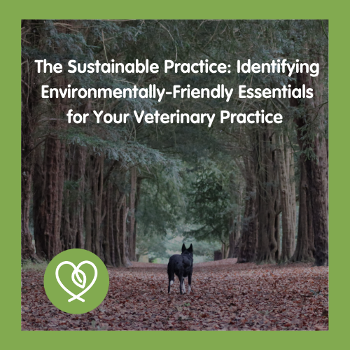 The Sustainable Practice: Identifying Environmentally-Friendly Essentials for your Veterinary Practice