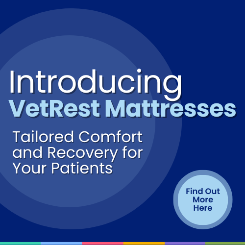 Introducing VetRest Kennel Mattresses: Tailored Comfort and Recovery for Your Patients