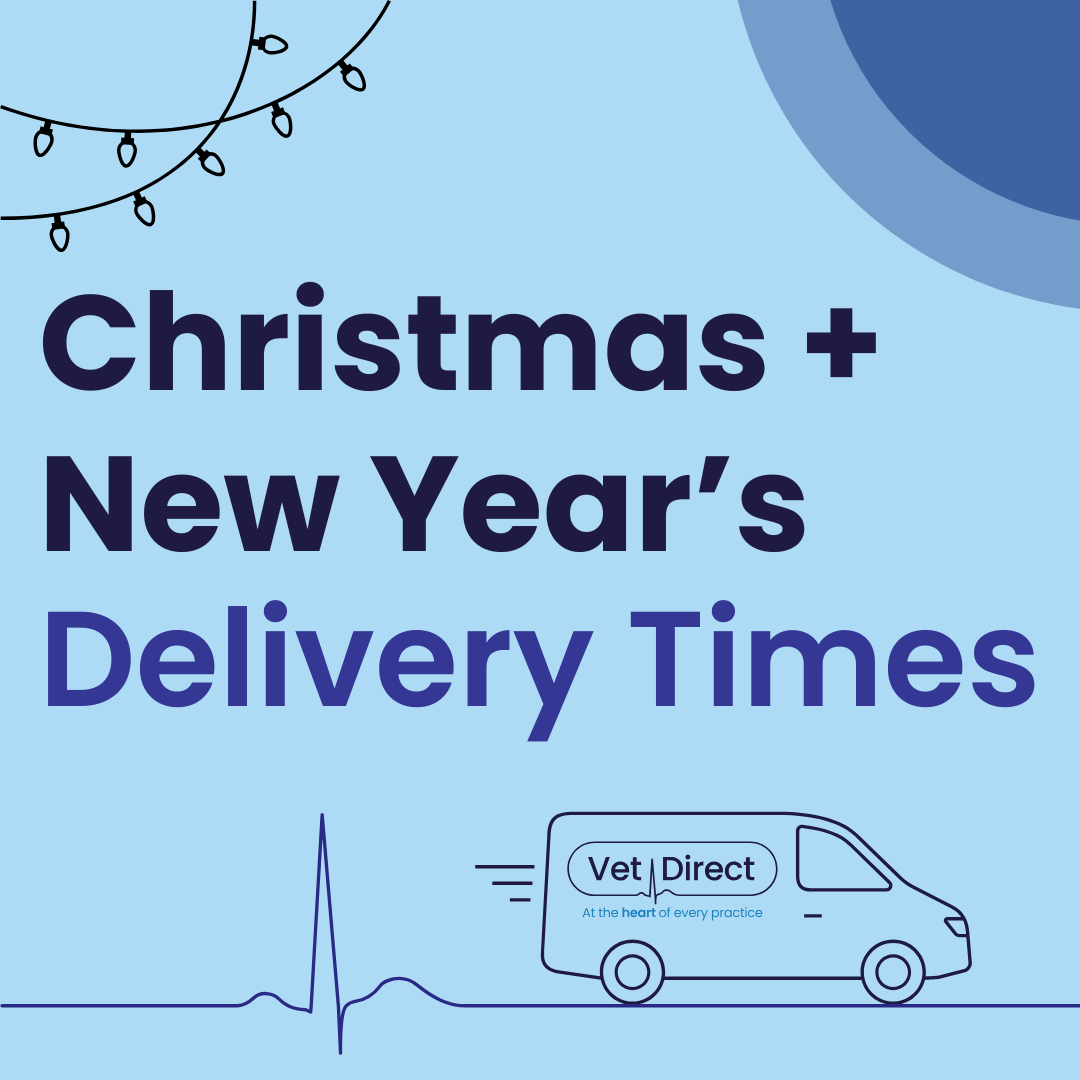 Get Ready for Christmas and New Year: Holiday Delivery Information