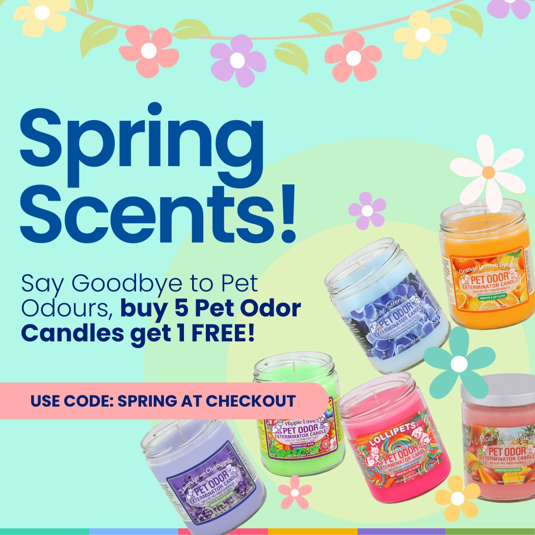 Discover the Array of Invigorating Spring Scents with Pet Odor Candles at Vet Direct