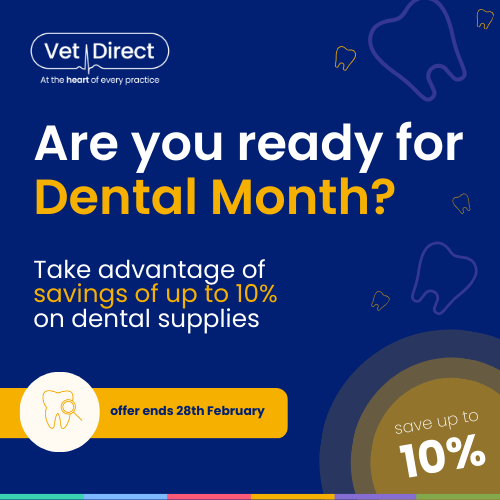 Veterinary-Dental-Month-Promotion-At-Vet-Direct