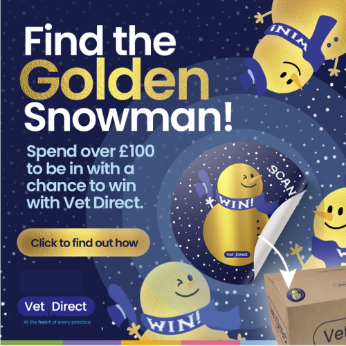 Find The Golden Snowman: Unwrap the Magic and Win!