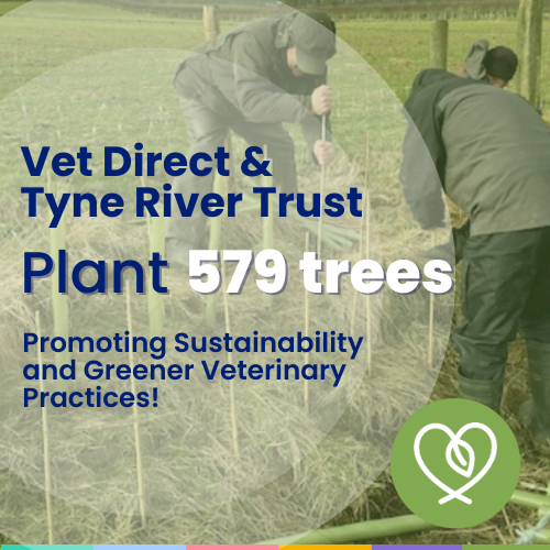 Branching Out for a Better Future: Vet Direct and Tyne River Trust Plant 579 Trees for Greener Veterinary Practices