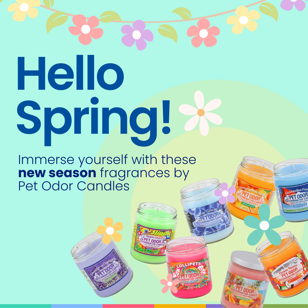 Unleash the Refreshing Spring Aromas of Pet Odor Candles!