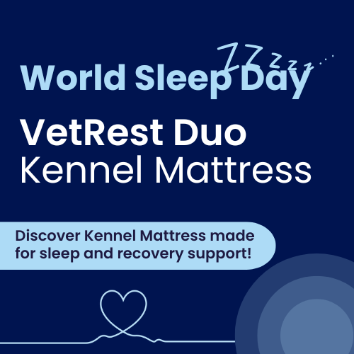 VetRest - Kennel Mattresses helping to support Sleep & Recovery