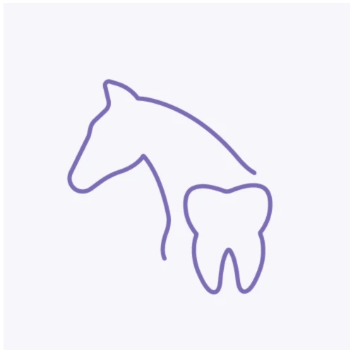 Equine Dentistry