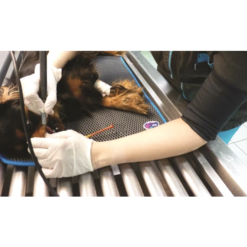 COSYPAD II Veterinary Exam and Recovery Pad X-Large 60 x 115cm*1