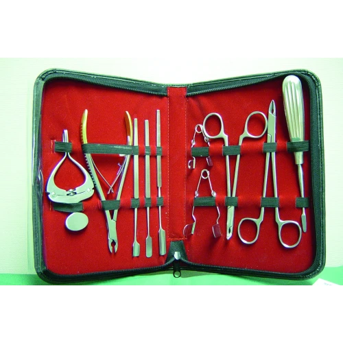 Rodent Dental Kit *1