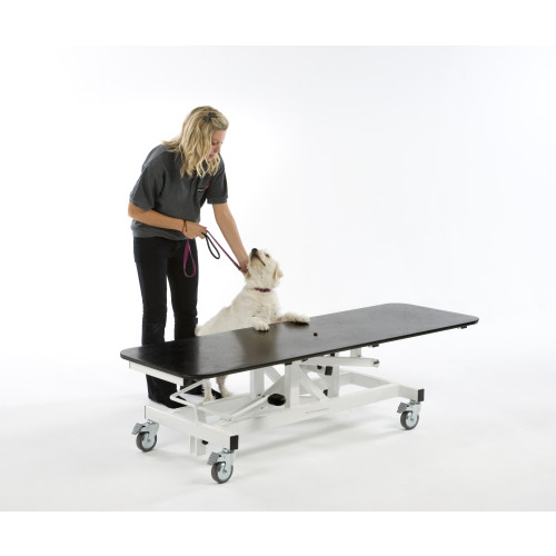 VT101 Medi-Table Exam  Electric 150x60cm NO Tilt Height 46-91cm*1