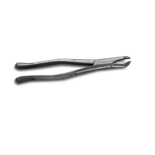 Extraction Forceps 222 *1