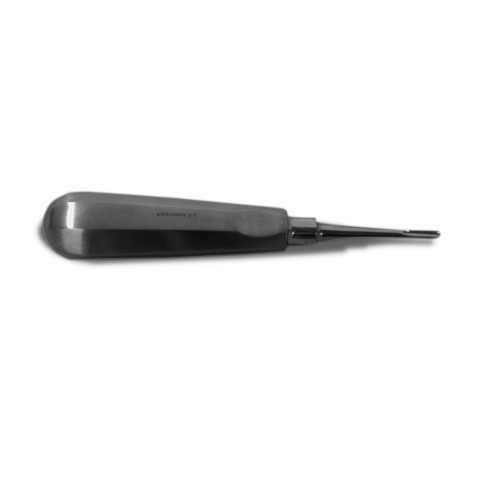 Elevator Straight Standard Tip 4mm *1