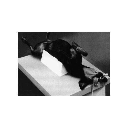 Redmark Cradle Large Only*1