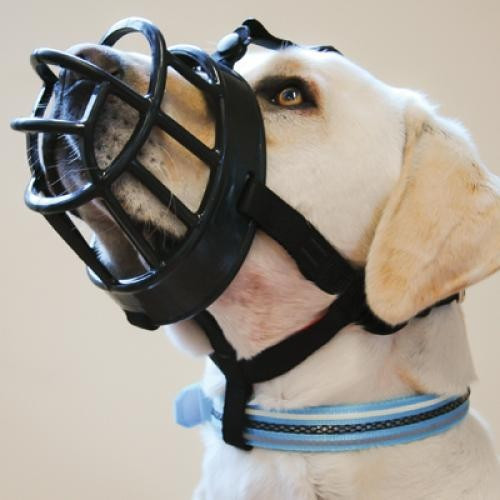 Baskerville Ultra Muzzle Size 1 (Border Terrier, Jack Russell)*1