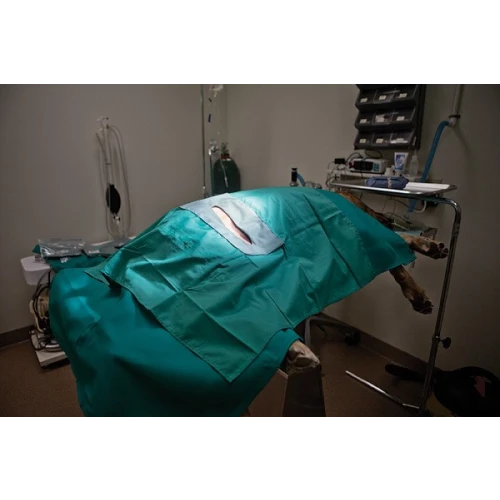 Drapes Green 100x100cm Fenestrated 25x3cm *1