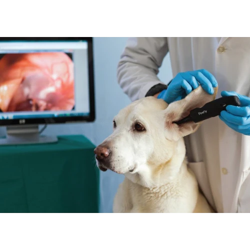 Firefly Veterinary Video Otoscope*1