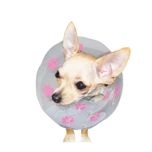 FunCol Dog Collar - 12.5cm Orange *1