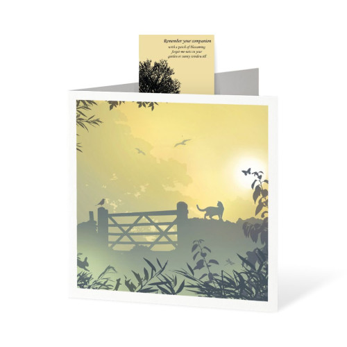 Cat Gateway Pet Sympathy Card with Forget-Me-Not Seed Pack