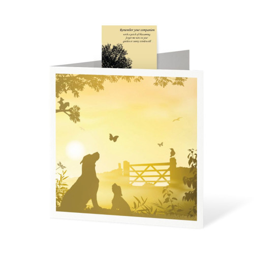 Dog Gateway Pet Sympathy Card with Forget-Me-Not Seed Pack