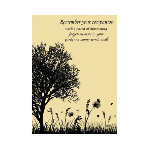 Forget-Me-Not Sympathy Seed Packets x25