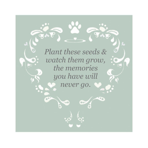 Seed Pack Heart Forget-me-not