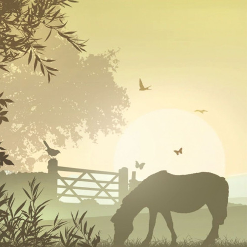 Pet Sympathy Cards - Gateway Horse