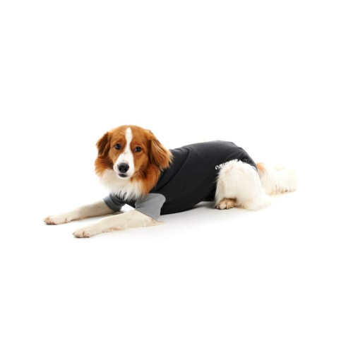Buster Body Suit EasyGo for dogs, black/grey 25cm XXXS