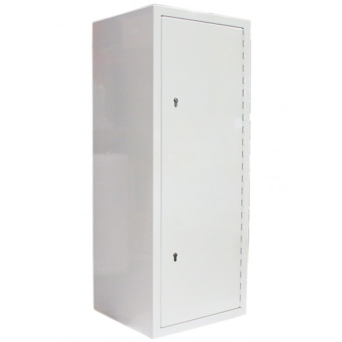 Veterinary CD Controlled Drug Cabinet 281L