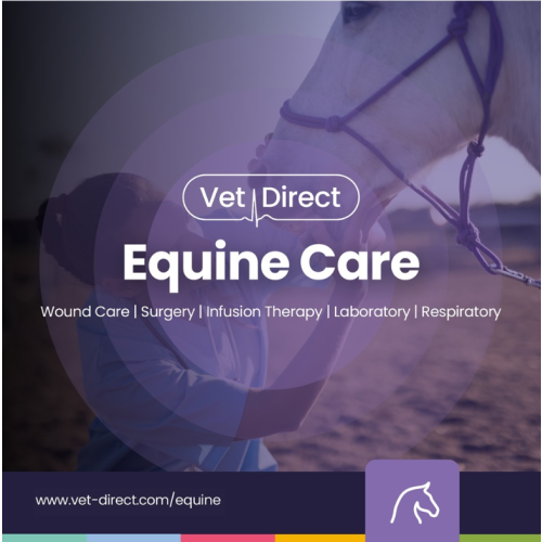 Equine Brochure*1