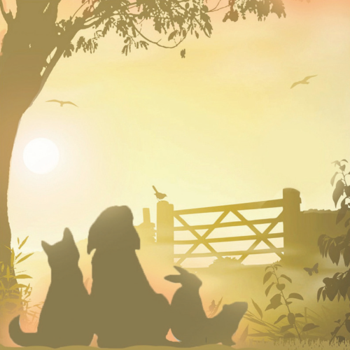 Pet Sympathy Cards Gateway Small Animals