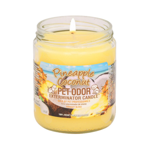 Vet Candle Jar Pineapple Coconut 13oz