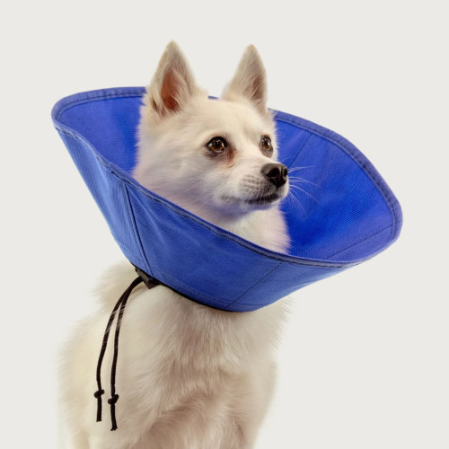 EZ Soft™ Lightweight Collar - M (18–38cm)