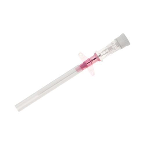 Terumo Surflo Winged IV Catheter 20G x 1.25" Pink