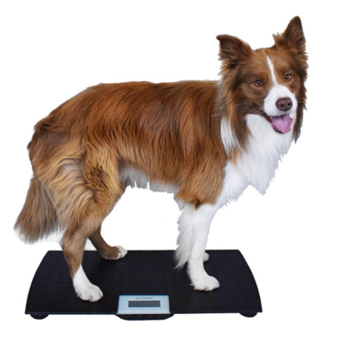 Portable Veterinary Scales (up to 100kg)