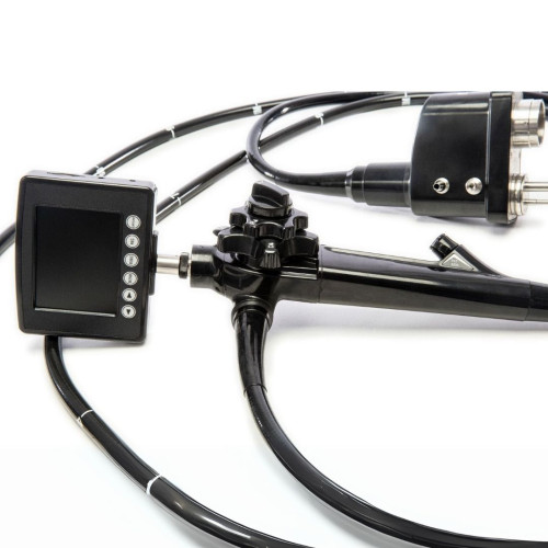 VET-1335HD HD Video Equine Gastroscope