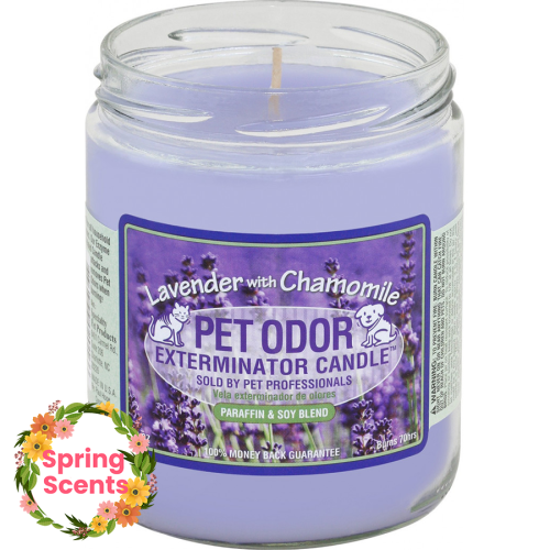 Pet Candle 13oz Jar Lavender with Chamomile