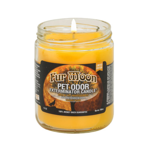 Pet Odor Candle Fur Moon 13oz