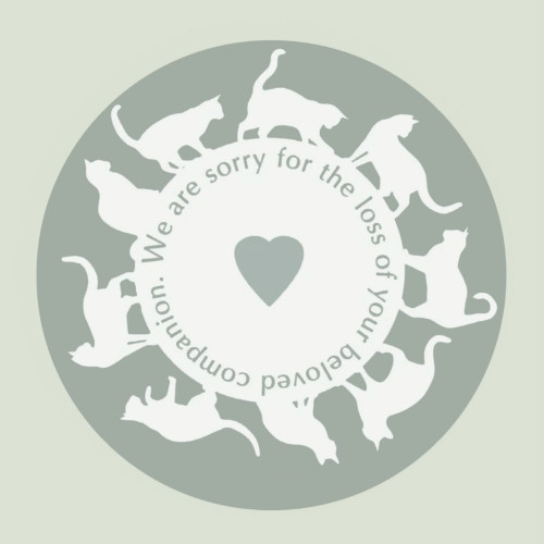 Circle of Cats Pet Sympathy Card