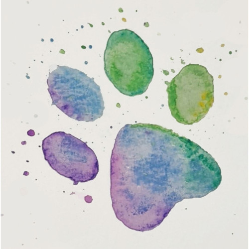 Pet Sympathy Cards - Watercolour Paw