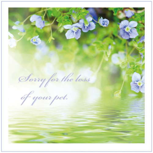 Forget Me Knot Pet Sympathy Card