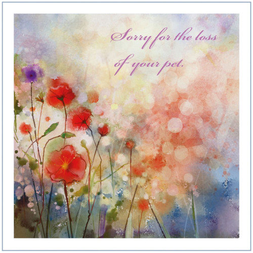 Poppies Pet Sympathy Card