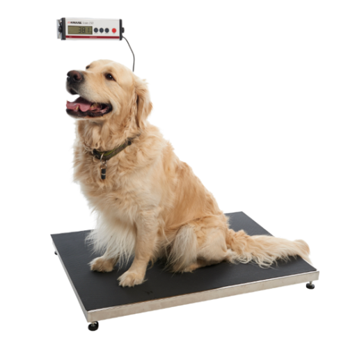 KRUUSE Walk On Scales 250kg in 50g (980mm x 600mm x 60mm)