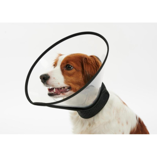 Buster Complete Dog Collar 25cm