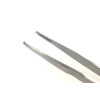 Lanes Forceps 1x2 Teeth 150mm