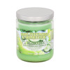 Pet Candle Jar - Cool Cucumber & Honeydew (13oz)