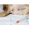 Tom Cat Urinary Catheter 3.5fg/11cm