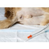 KatKath Urinary Catheter 3.5fg/14cm